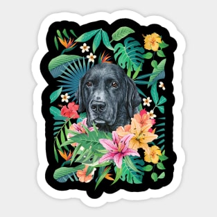 Tropical Black Labrador Retriever Sticker